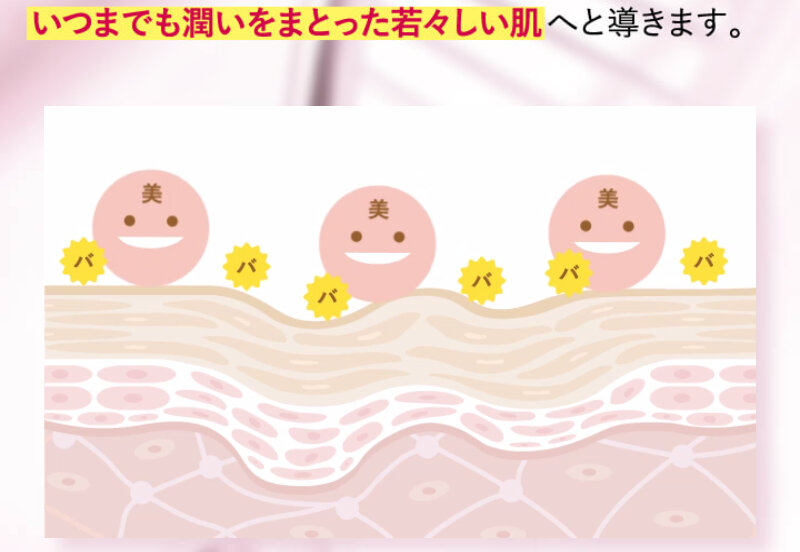 シルクリスタ081