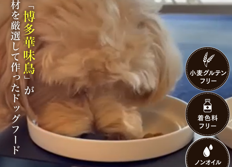 大切な家族の食事だから2