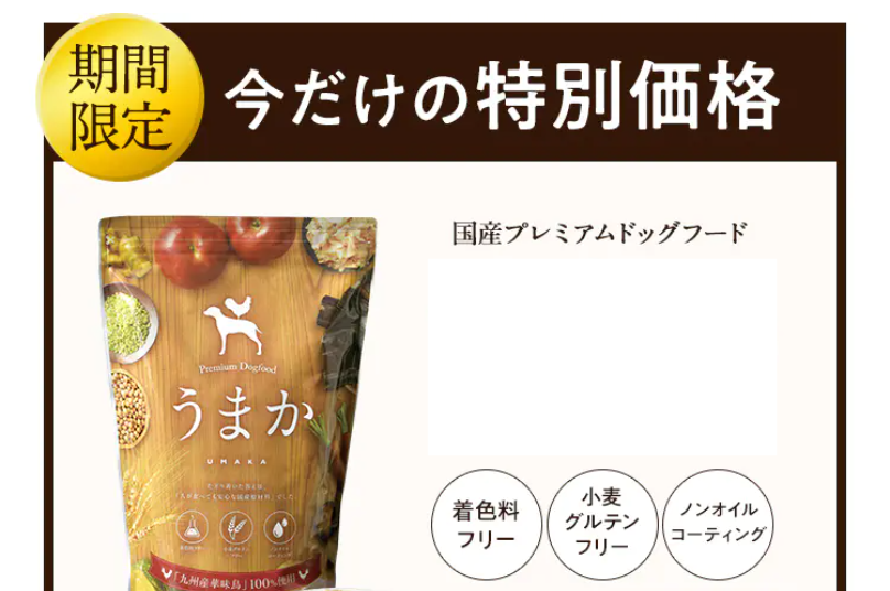 今だけの特別価格1