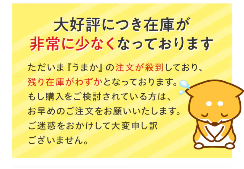 大好評につき在庫がわずかです1