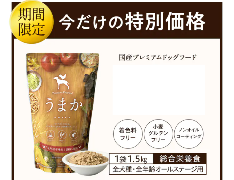 今だけの特別価格3