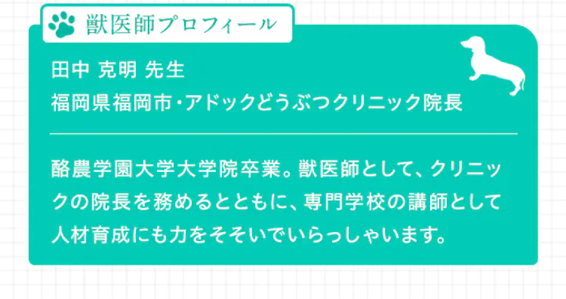 獣医師プロフィール