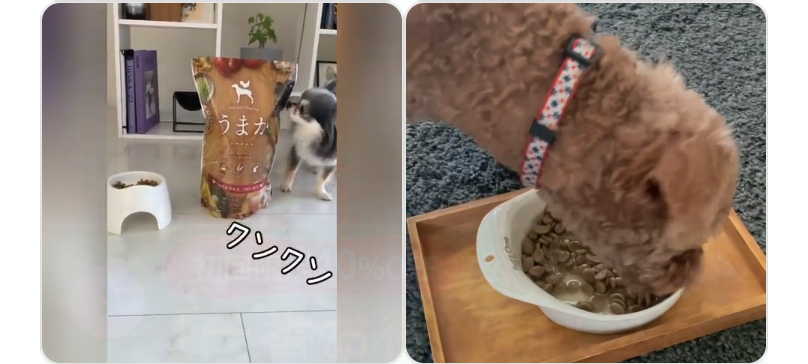 インスタでも大人気3