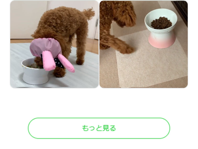 インスタでも大人気4