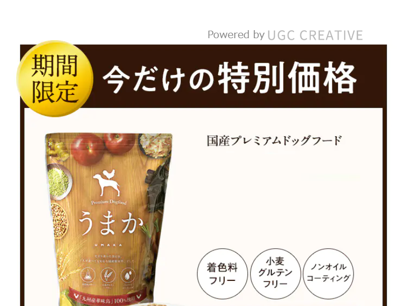 今だけの特別価格5