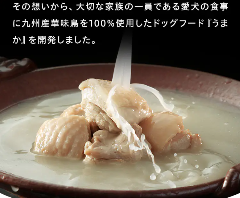 新鮮な鶏肉を愛犬に3