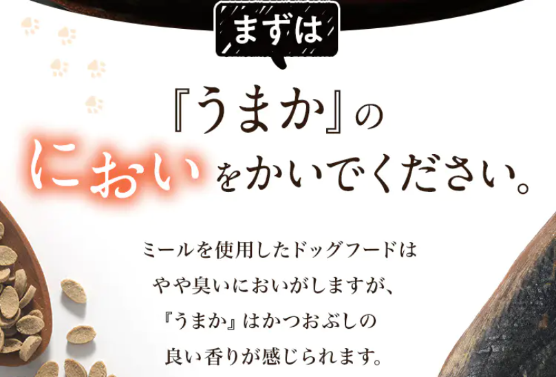 まずはうまかのにおいをかいでください1