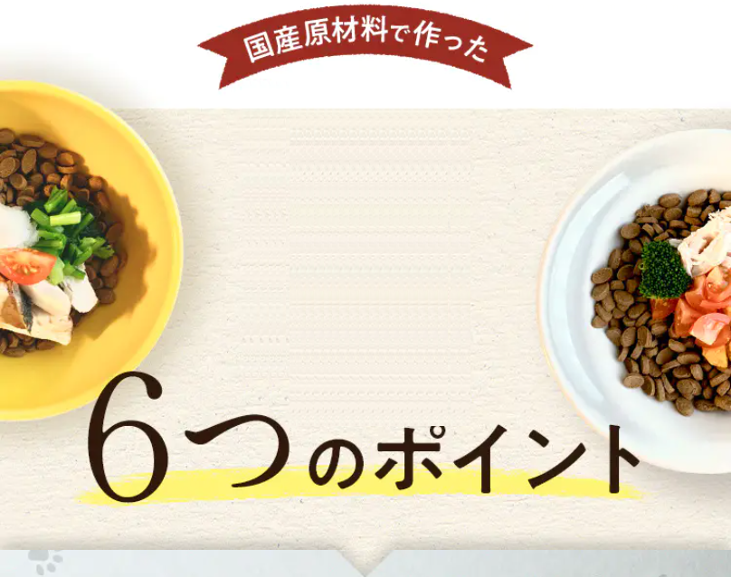 6つのポイント