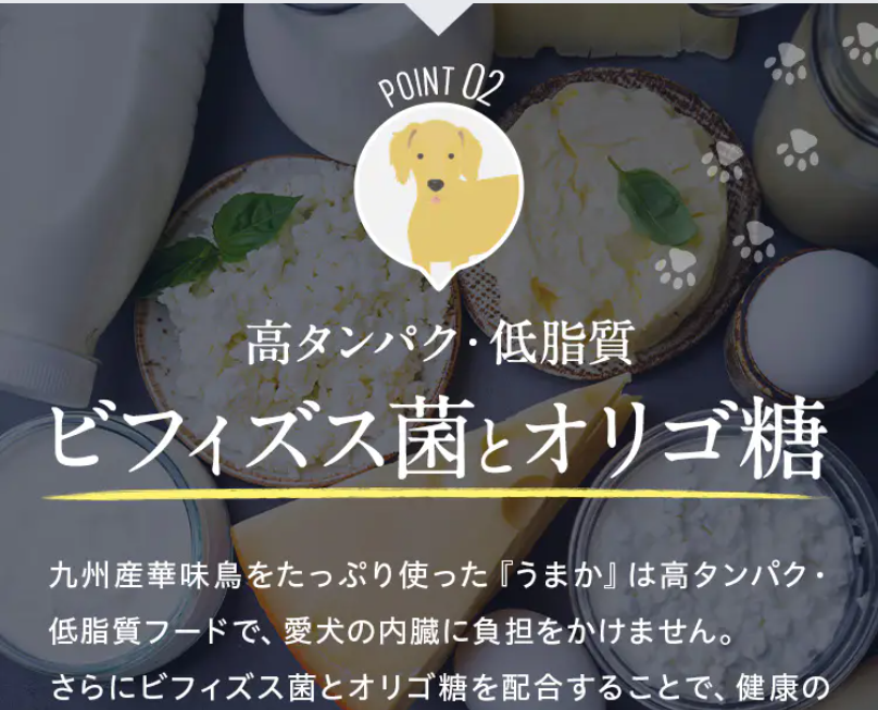 ポイント2高タンパク・低脂質1