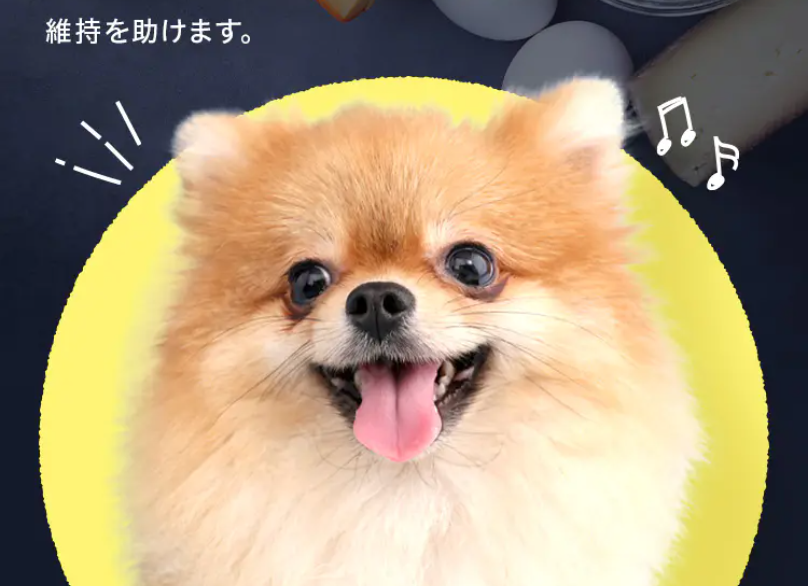 ポイント2高タンパク・低脂質2