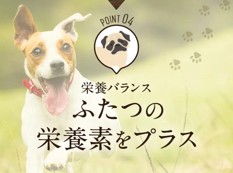 ポイント4栄養バランス1