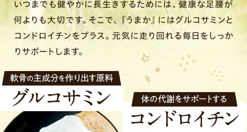 ポイント4栄養バランス2