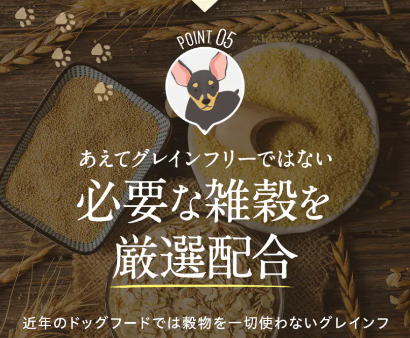 ポイント5厳選配合1