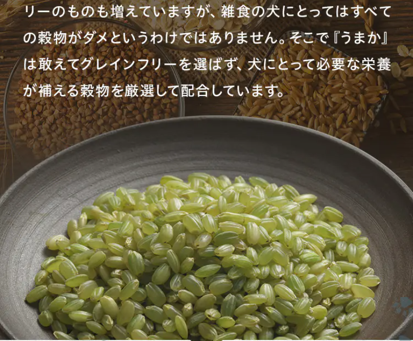ポイント5厳選配合2