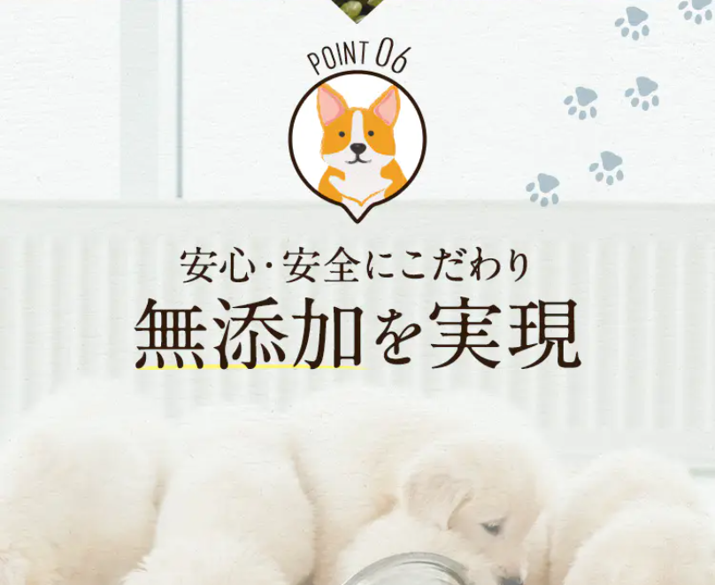 ポイント6無添加1