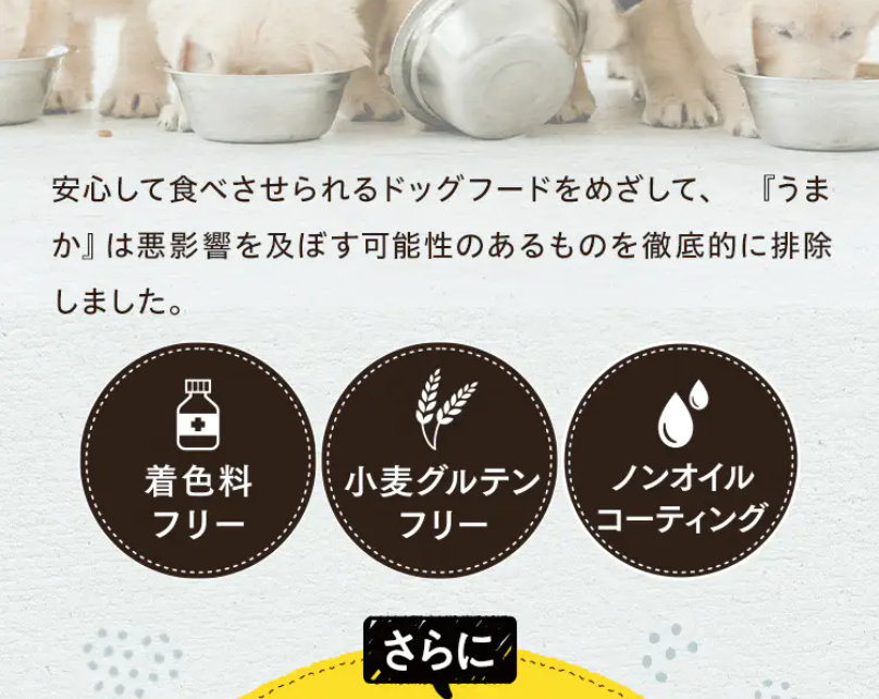 ポイント6無添加2