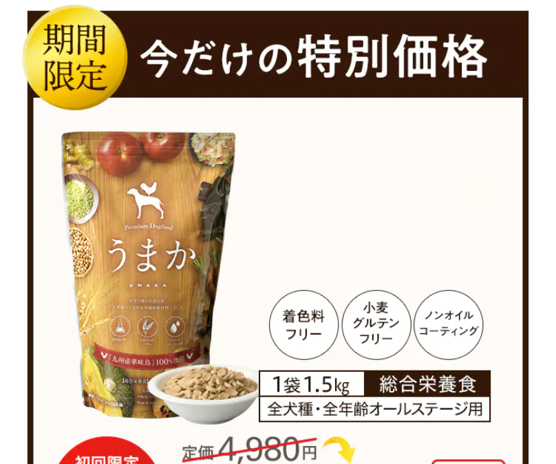 今だけの特別価格7