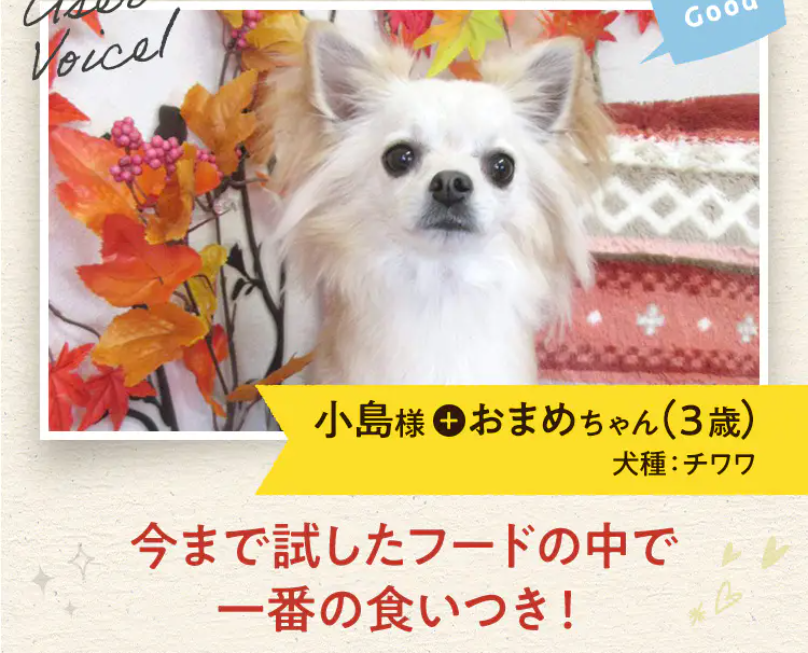 おまめちゃん1