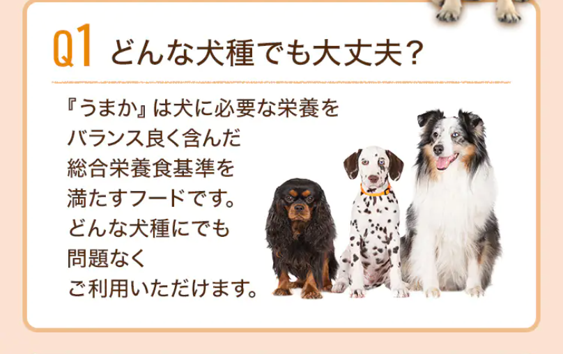 どんな犬種でも大丈夫？