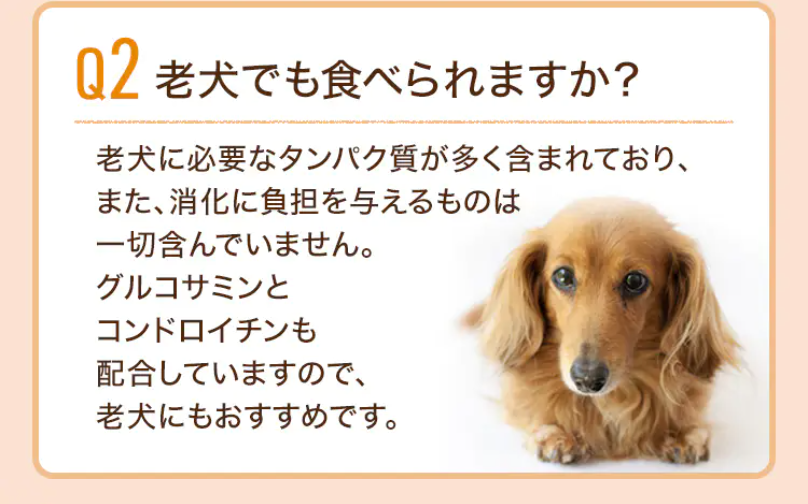老犬でも食べられますか
