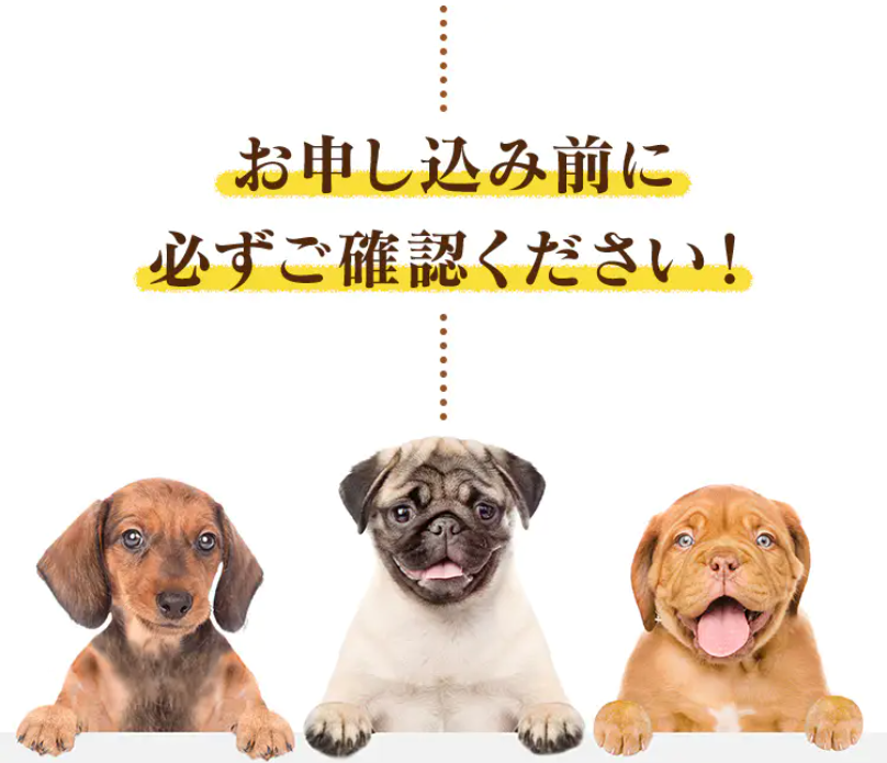 お申込み前に1