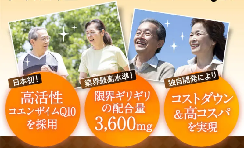 高活性コエンザイムQ10-4