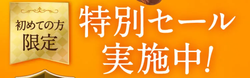 初めての方限定特別セール-1