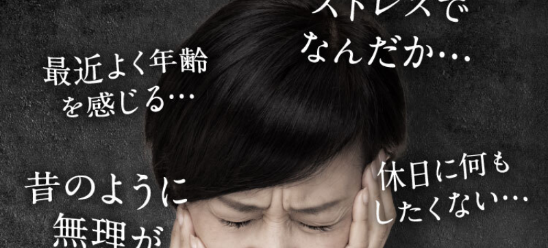 高活性コエンザイムQ10-10