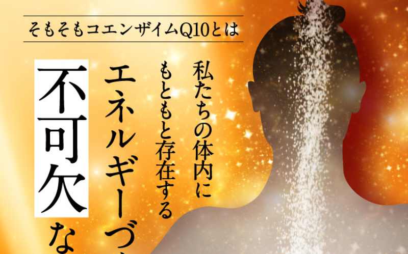 高活性コエンザイムQ10-13