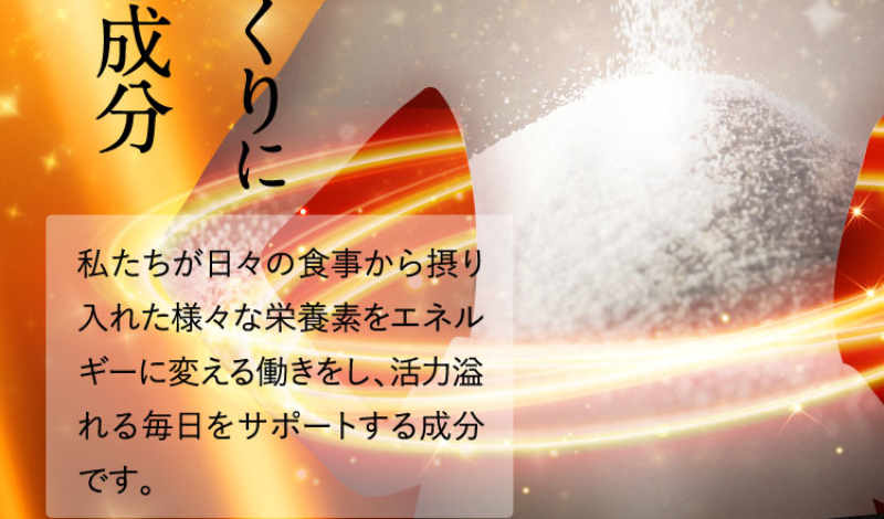 高活性コエンザイムQ10-14