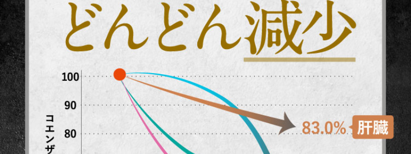 高活性コエンザイムQ10-16