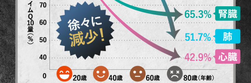 高活性コエンザイムQ10-17