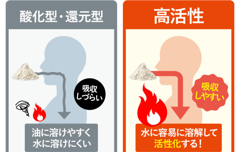 高活性コエンザイムQ10-32