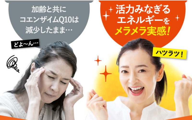 高活性コエンザイムQ10-34