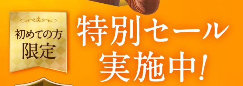 初めての方限定特別セール-4